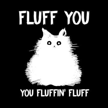 Fluff You You Fluff Funny Cat Hoodie