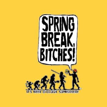 Spring Break Bitches Evo Hoodie