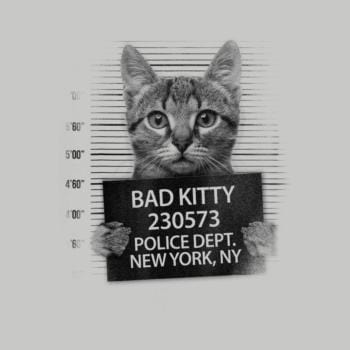 Funny Cute Bad Kitty Cat Hoodie