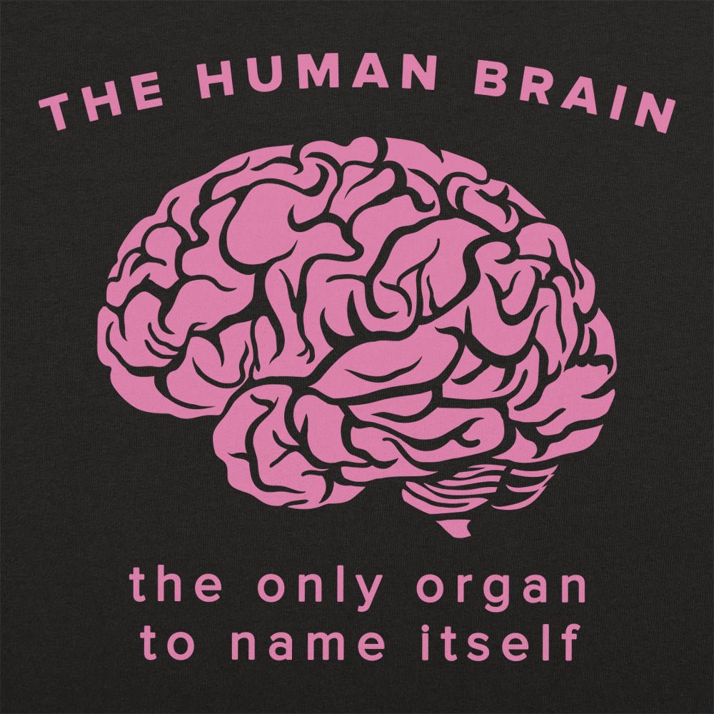 The Human Brain