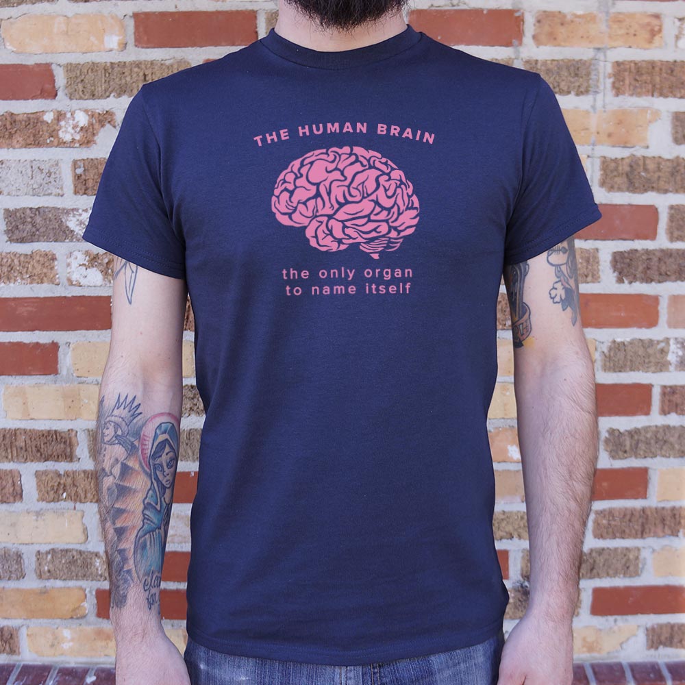 The Human Brain