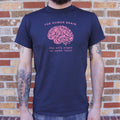 The Human Brain