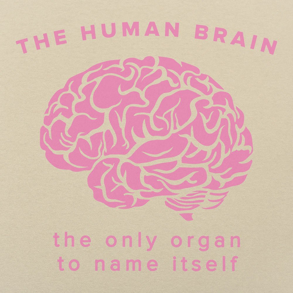 The Human Brain