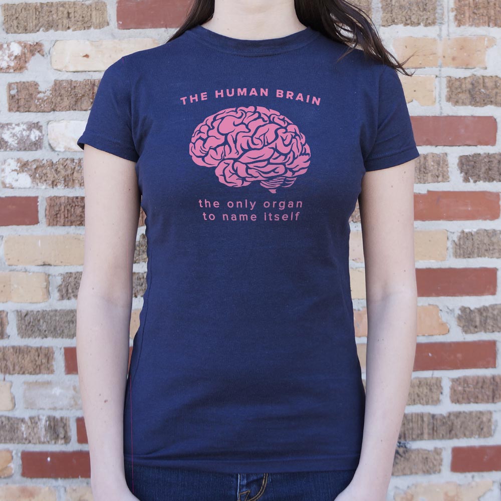The Human Brain
