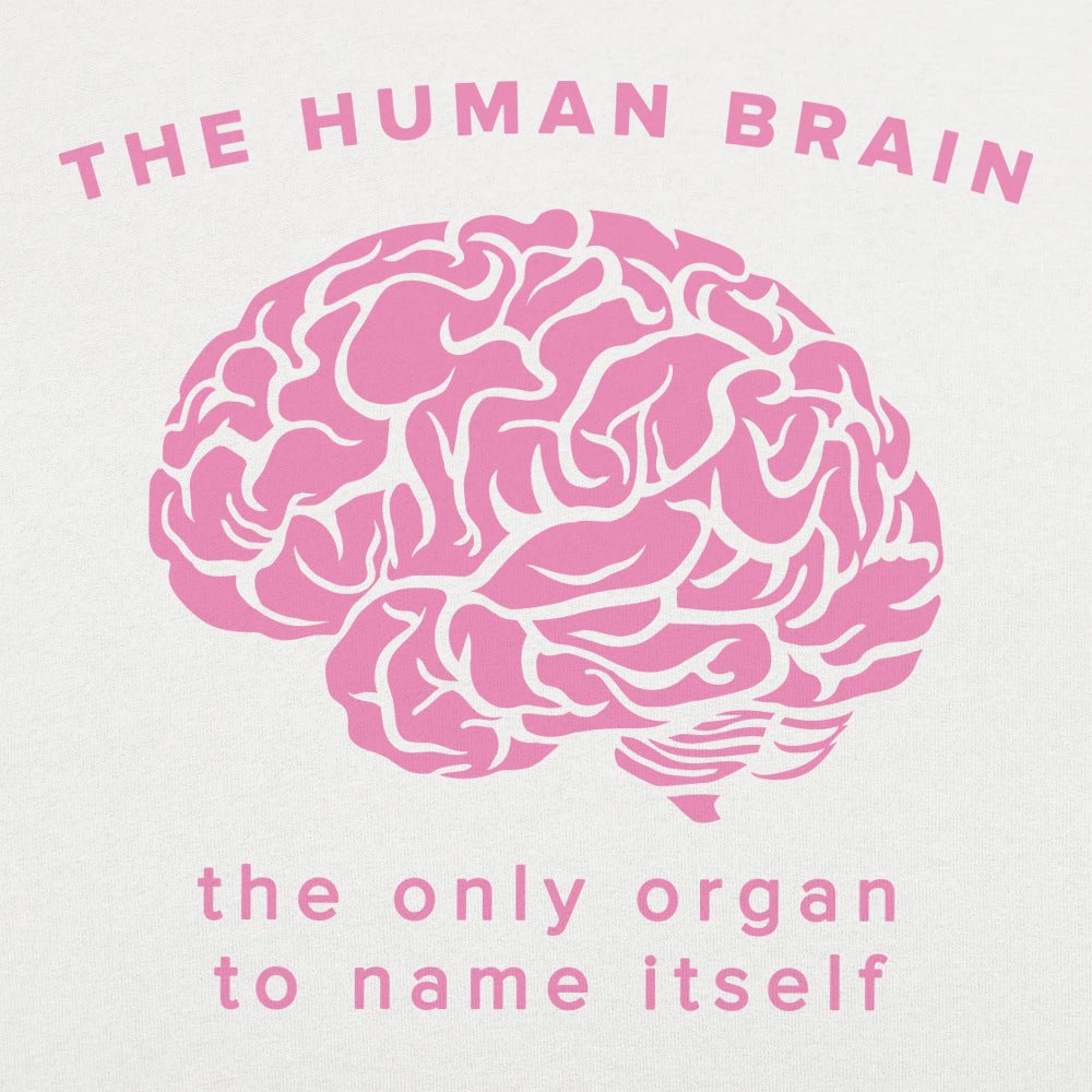 The Human Brain