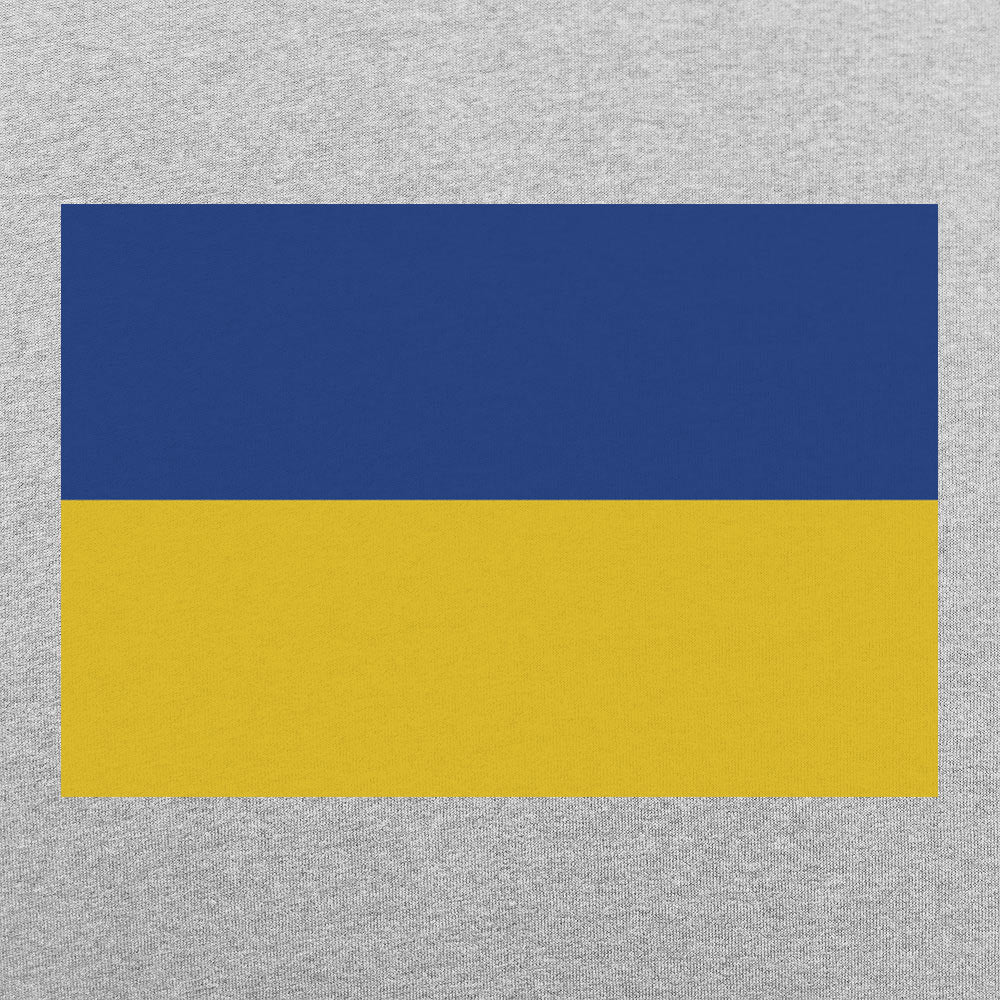 Ukraine Flag