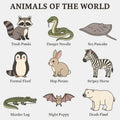 Animals of the World Collection