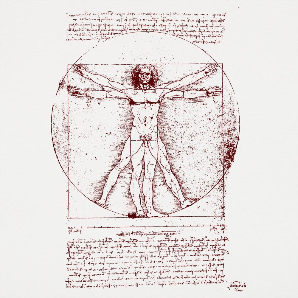 The Vitruvian Man