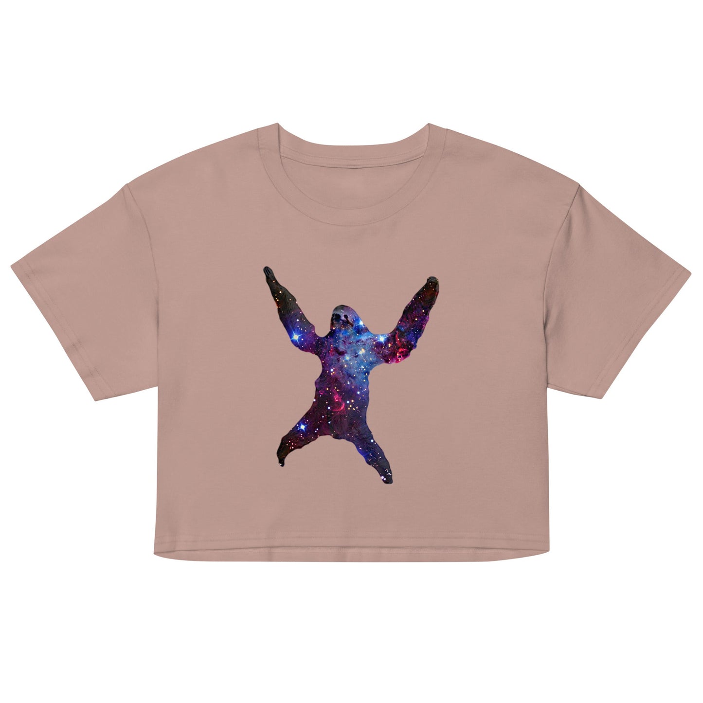 Sloth Nebula Women's Crop Tee