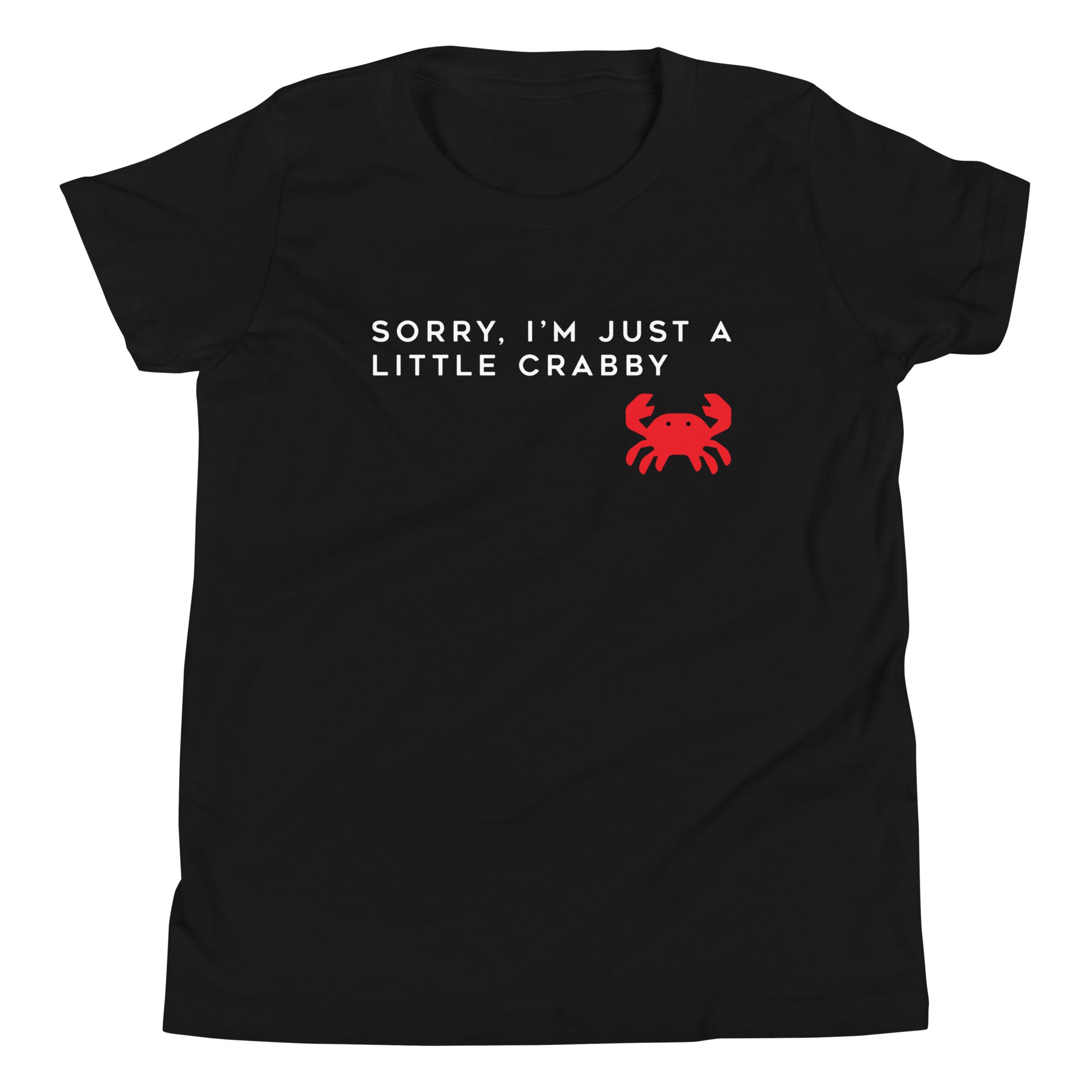 Sorry, I'm Just A Little Crabby Kid's Youth Tee